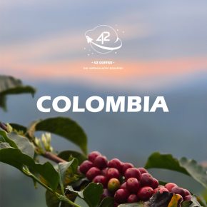 Colombia Cupping 2024